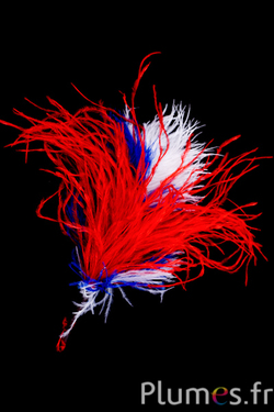 Plumet autruche - hauteur 20-23 cm - bleu-blanc-rouge